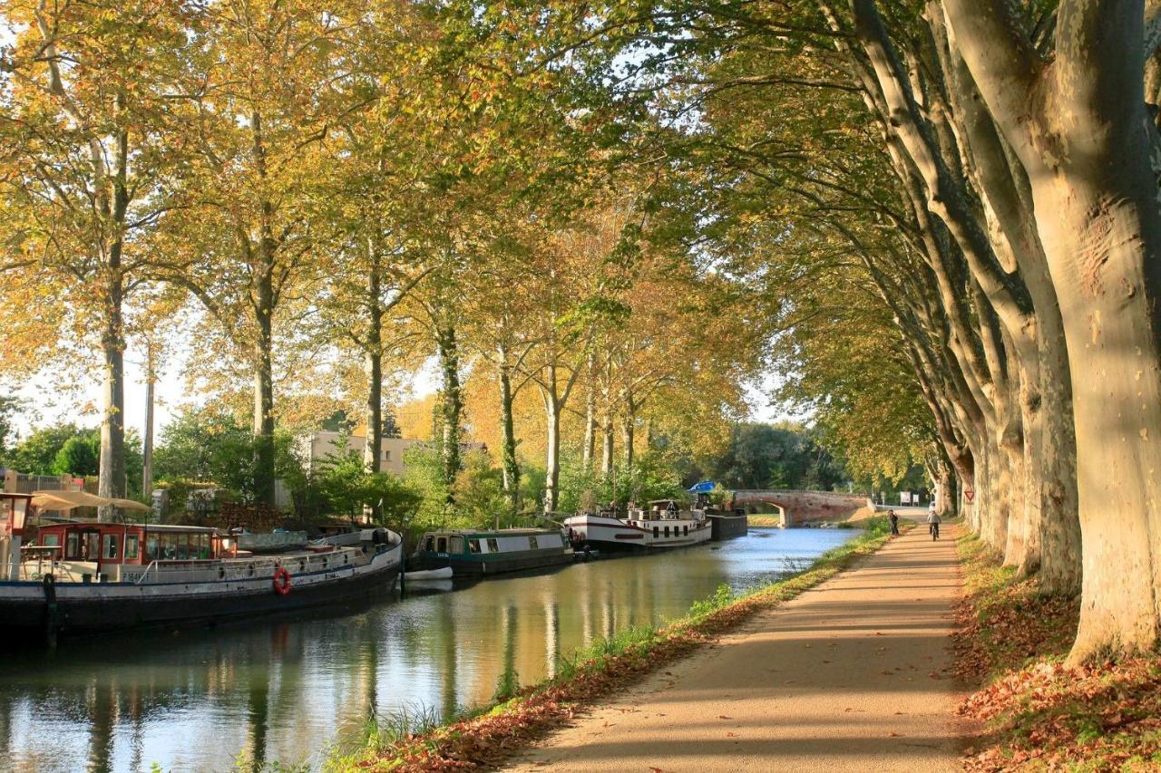 Le Riquet'S - Toulouse Hypercentreアパートメント エクステリア 写真